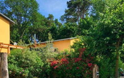 Outsourcing ohne Abstriche für die Gäste